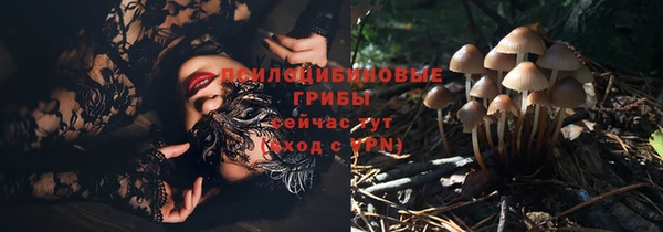 Альфа ПВП Арсеньев